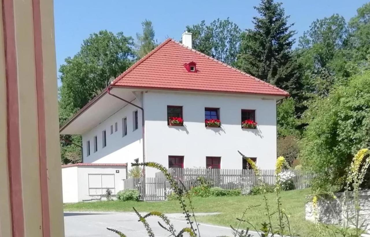Ubytovani Praschlhaus Horní Planá المظهر الخارجي الصورة