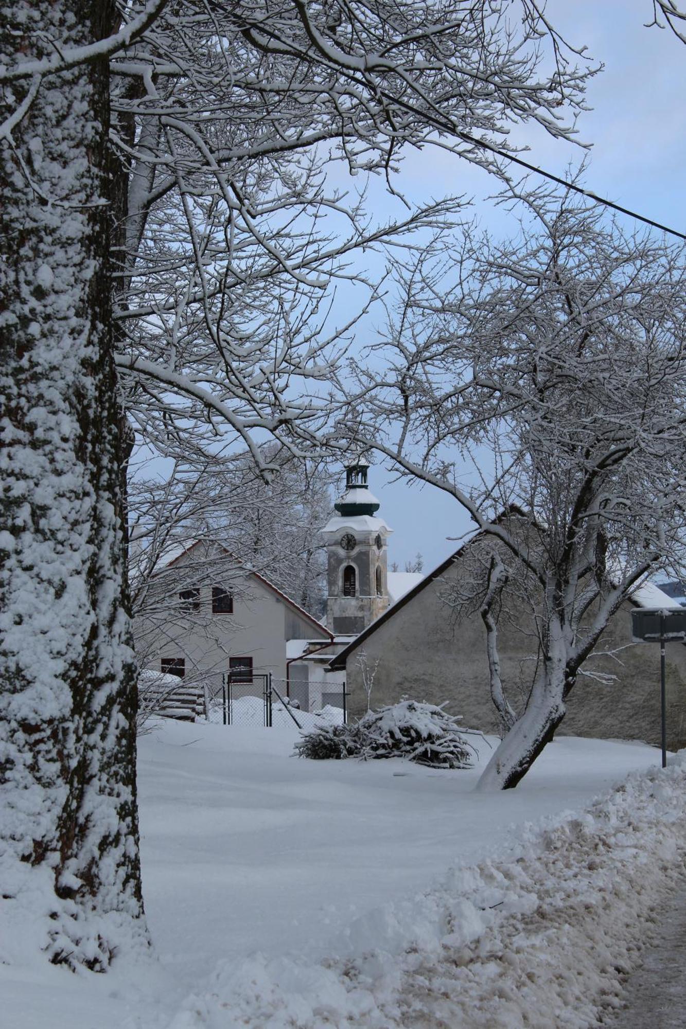 Ubytovani Praschlhaus Horní Planá المظهر الخارجي الصورة